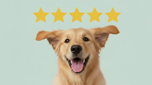 40,000+ Happy Customers